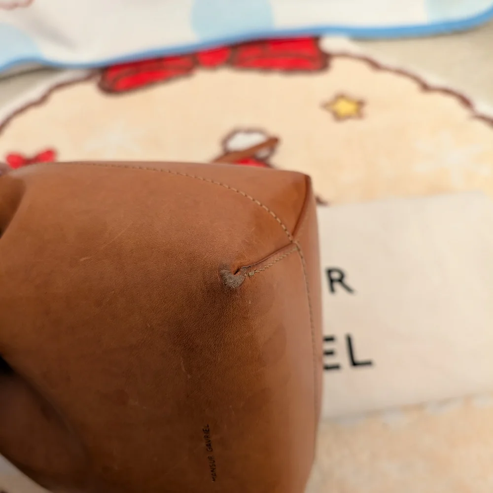 Mansur Gavriel Mini Mini Bucket Bag In Rosa - Picture 5 of 7